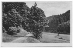 Blick auf das Vessertal