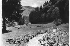 Blick auf das Vessertal