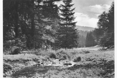 Blick auf das Vessertal