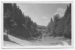 Blick auf das Vessertal