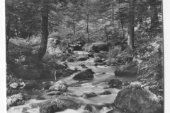 Blick auf das Vessertal