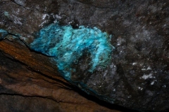 Besuch im Bergwerk Schwarze Crux