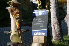 Forellen aus Nachbarsteich