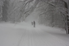 Baerenfangweg-im-Nebel
