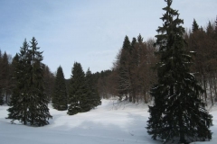 Oberes-Vessertal-01
