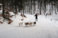Oest.-Wanderweg-Oberes-Vessertal